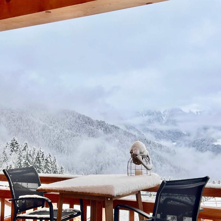 Chalet Serbijanka Alpine Retreat with Hammam Sauna and Jacuzzi for 14 Gueststs - Chalet - 45