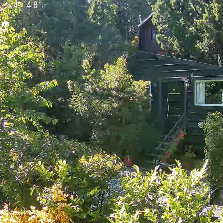 La Dorita cabaña de montaña - Chalet de 2 dormitorios - 100