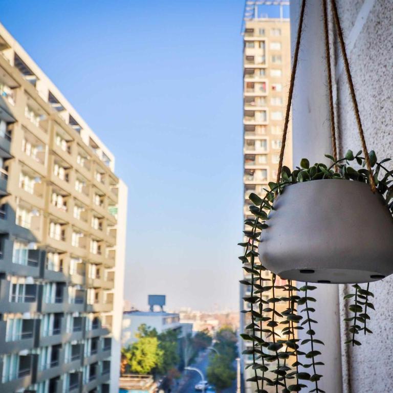 HOM I Wifi Terraza Vista Patrimonio Sacramentinos - Apartment - 37