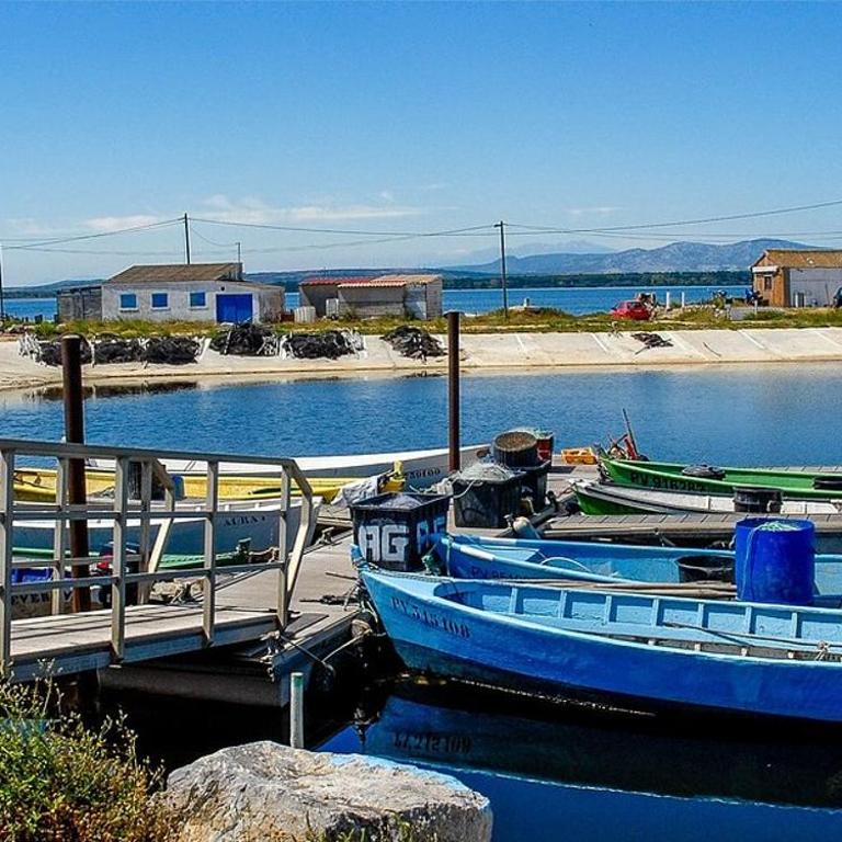 Studio Cabine En Bord De Mer à Gruissan - Studio - 16
