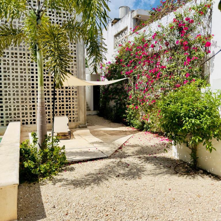 Casa Lluavi - Juno - Deluxe Apartment - 22