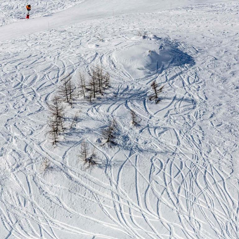 Studio cosy skis aux pieds, terrasse, proche village, animaux admis - Studio - 14