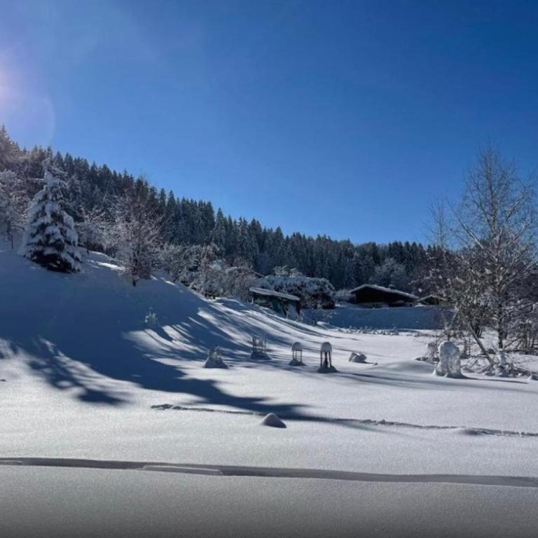 Superbe Chalet Mitoyen à Megève 7 pers Près des Pistes - Chalet 3 Chambres - 5
