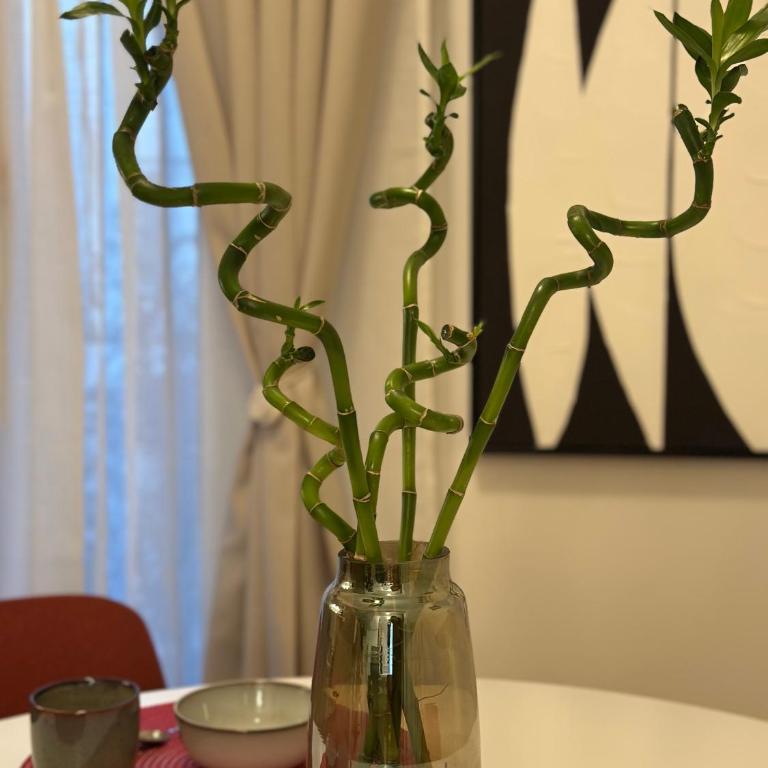 Central Piazza Ponterosso - The Green Nest - Appartamento con Balcone - 15