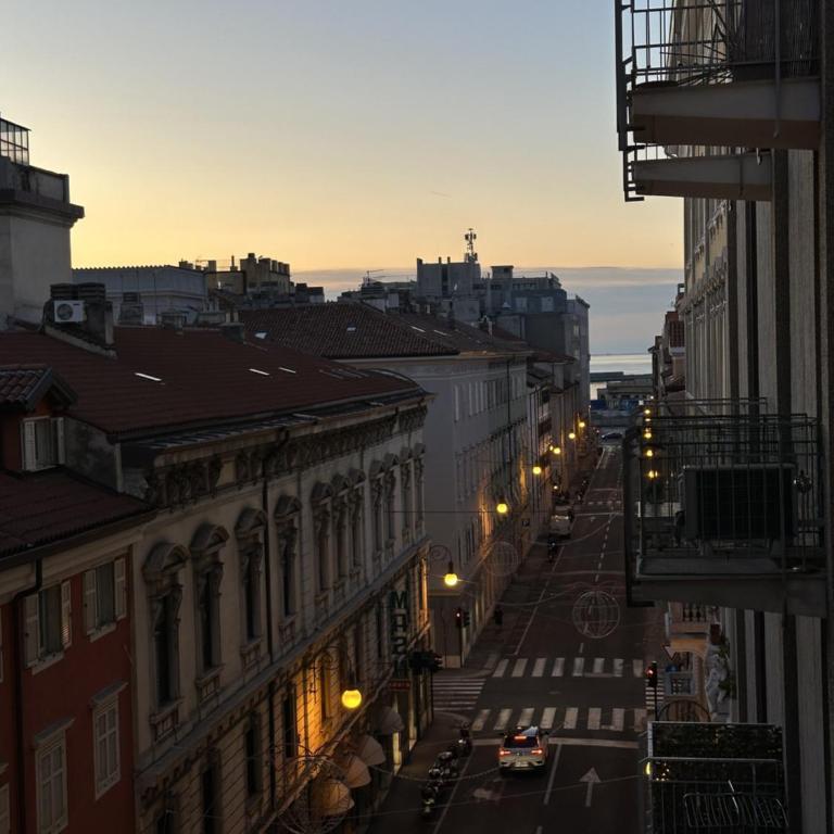 Central Piazza Ponterosso - The Green Nest - Appartamento con Balcone - 24