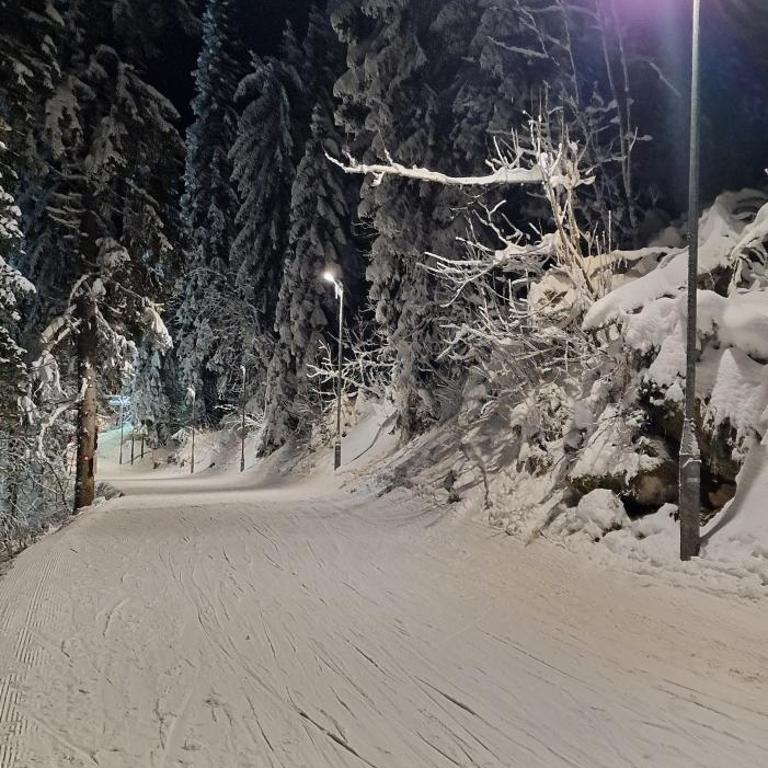 Vila Jahor Apartman 18 Jahorina - Apartman sa 2 Spavaće Sobe - 81