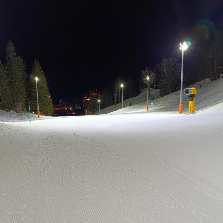 Vila Jahor Apartman 18 Jahorina - Apartman sa 2 Spavaće Sobe - 87