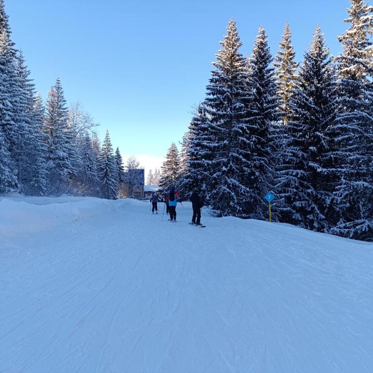 Vila Jahor Apartman 18 Jahorina - Apartman sa 2 Spavaće Sobe - 91