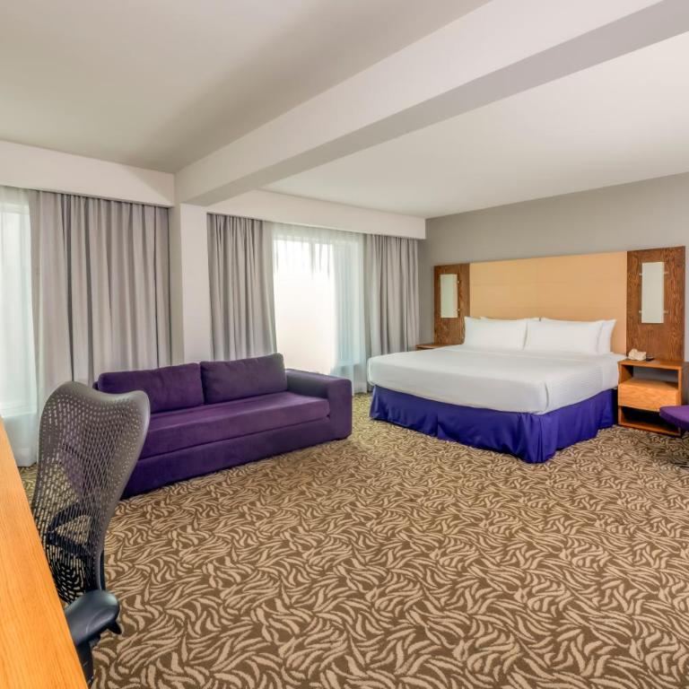 Krystal Urban Monterrey San Jeronimo - Junior Suite - 11