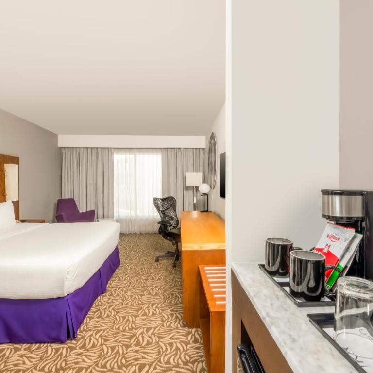 Krystal Urban Monterrey San Jeronimo - Superior King Room - 10