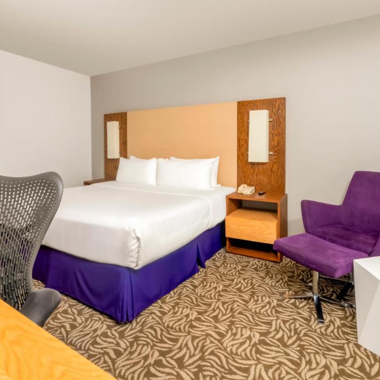 Krystal Urban Monterrey San Jeronimo - Superior King Room - 12