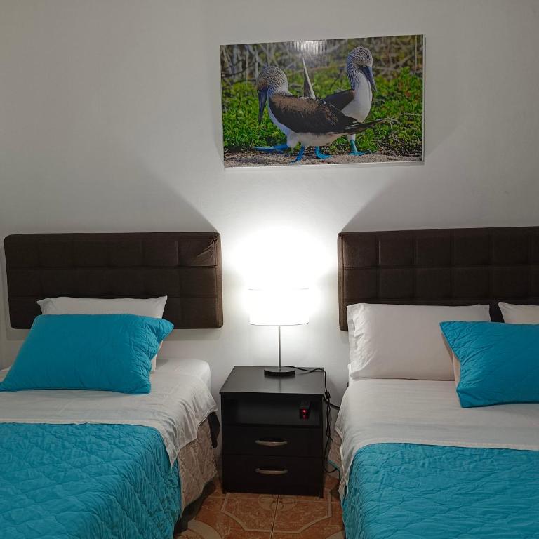 Teresita's House habitación con baño privado - Apartamento Superior - 2