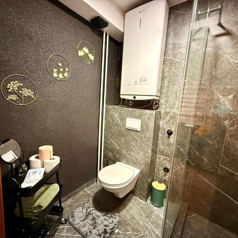 Moon Apartment Belgrade - Apartman sa 1 Spavaćom Sobom - 39