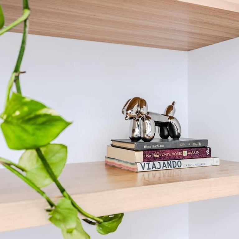 NOK Luxury Loft in Chico Norte - Apartamento - 12