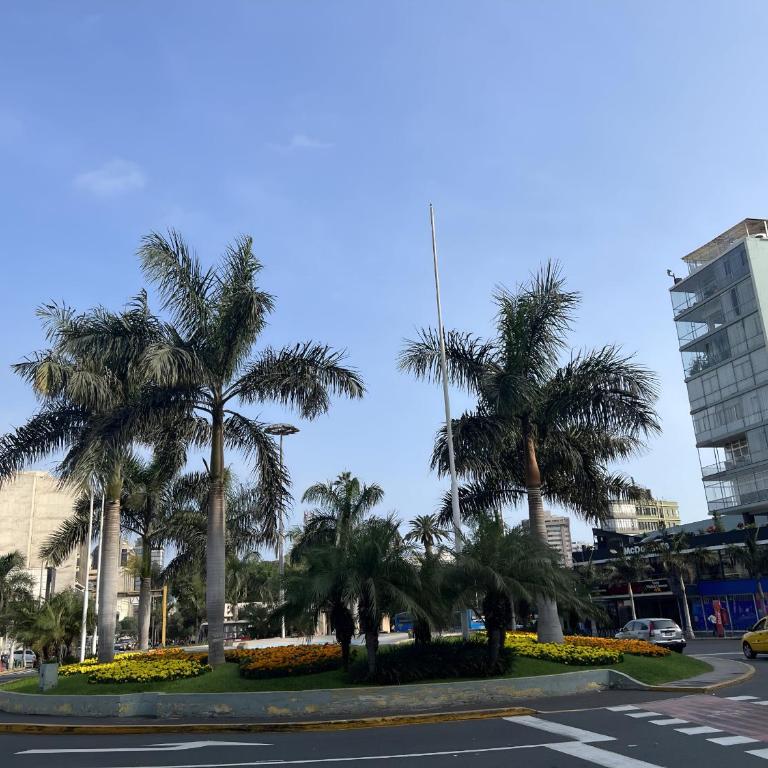 Av arequipa 603B - Apartment - 39