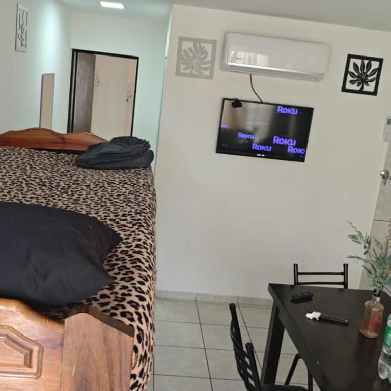 Del Norte - Apartamento de 1 dormitorio - 5