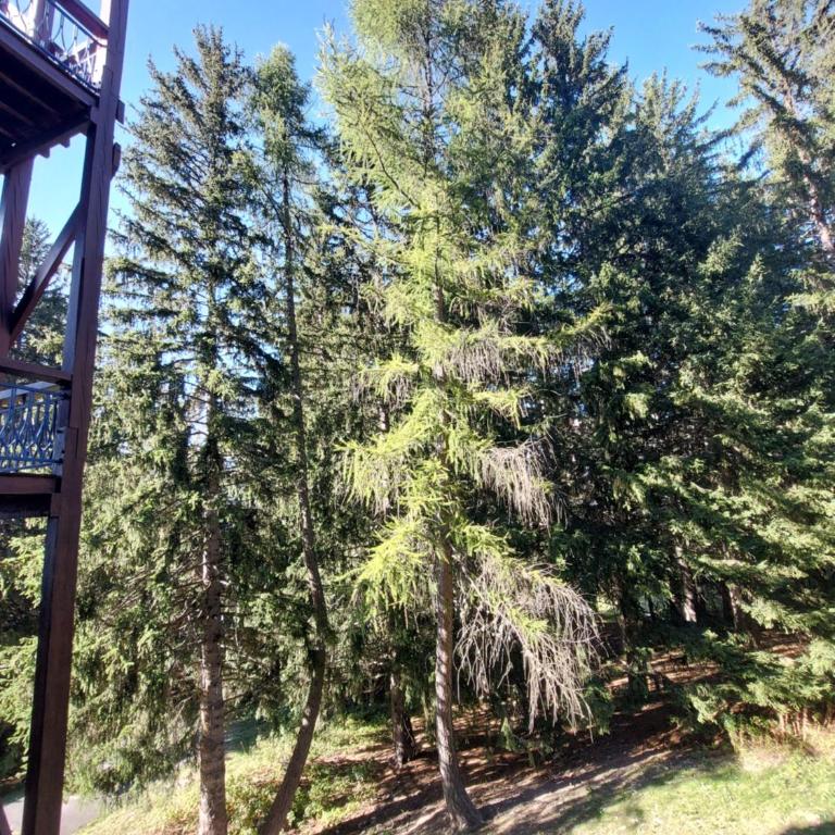 Cosy Duplex Arc1800 Aiguille Grive1 6 personnes - Appartement 2 Chambres - 38