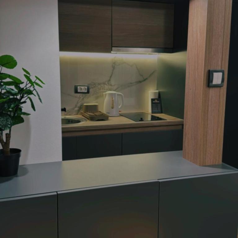 Vila Golija Peak Suites - One-Bedroom Apartment - 16