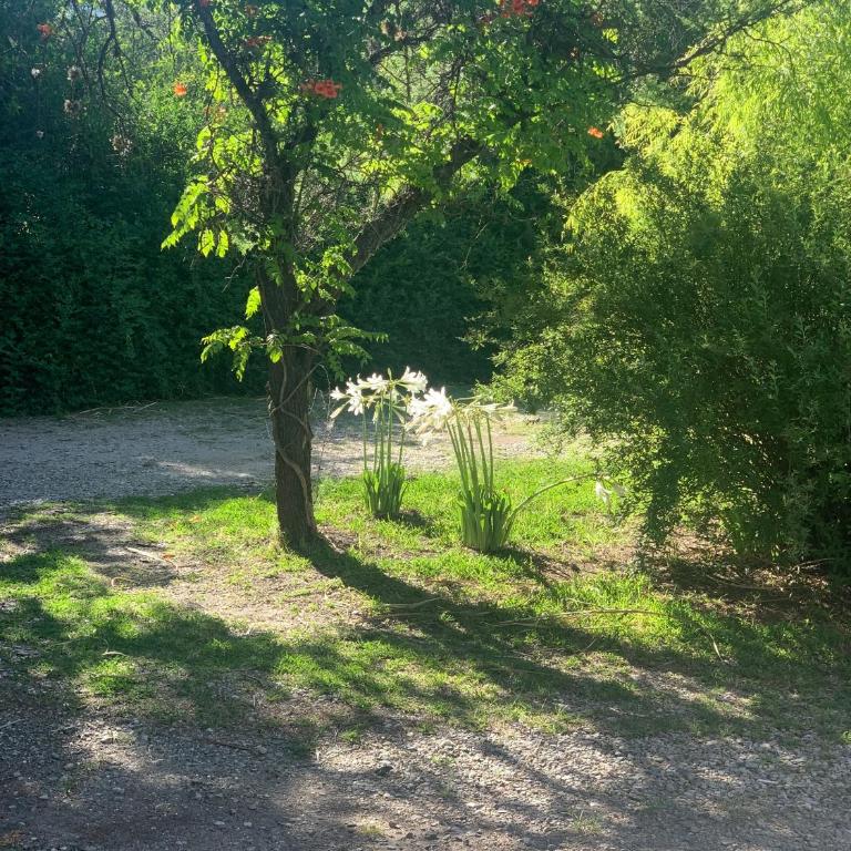 Nono Pietro - Three-Bedroom Chalet - 32