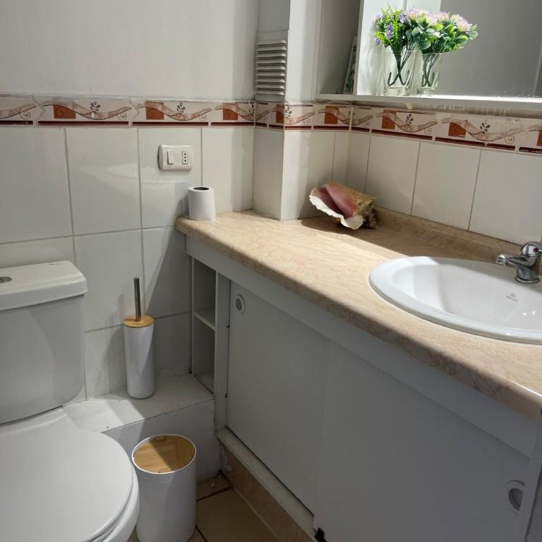 Gran departamento frente a la playa - Three-Bedroom Apartment - 9