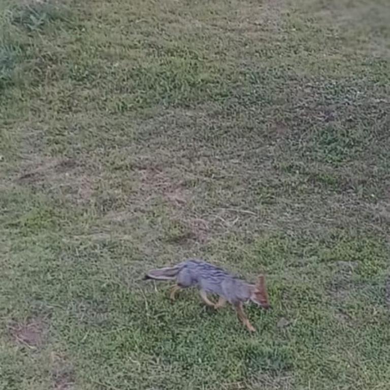 Ikigai - Chalet - 29