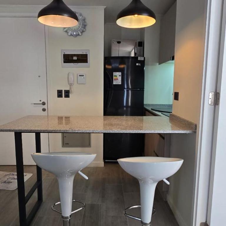 Cerca Movistar Arena, Chile - One-Bedroom Apartment - 1