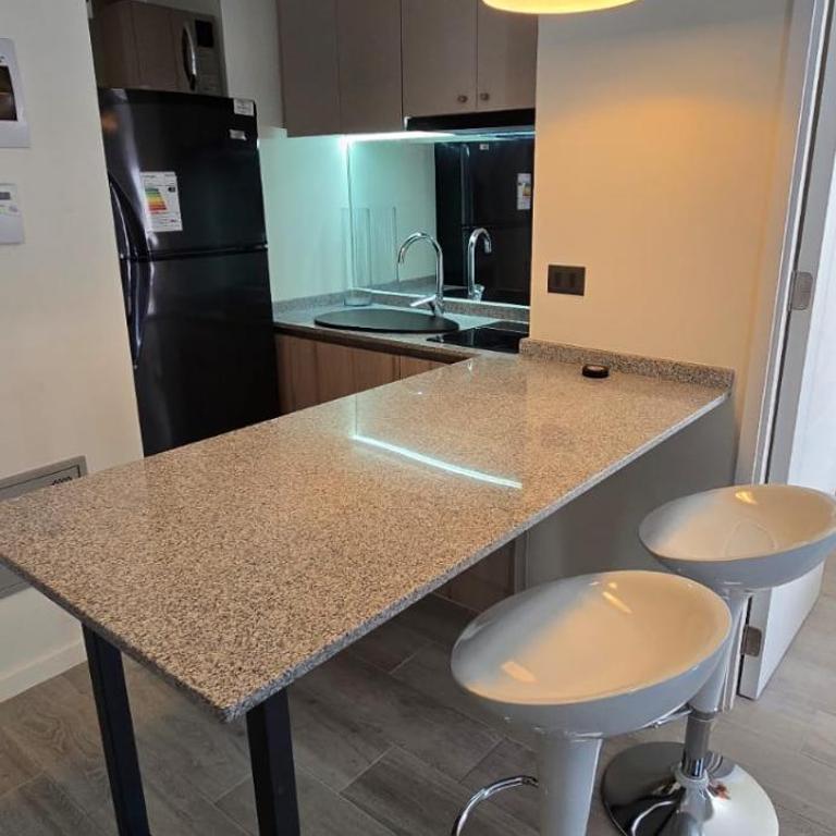 Cerca Movistar Arena, Chile - One-Bedroom Apartment - 4