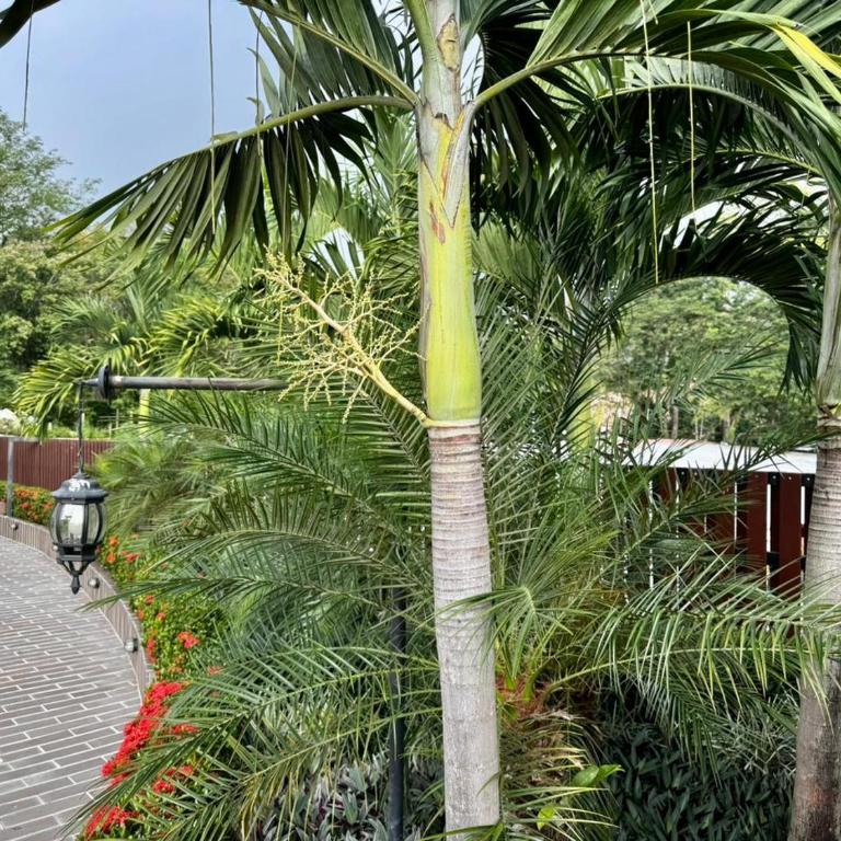 Apartamentos de lujos para descansar Oasis - Apartamento Deluxe de 4 dormitorios - 27