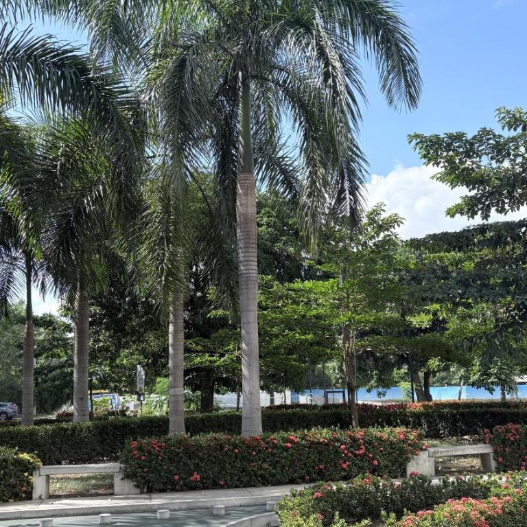Citadela Di Sole Tropical Escape - Two-Bedroom Apartment - 52