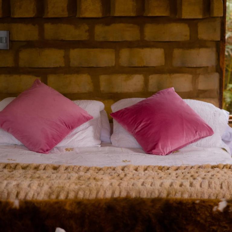 MACANI eco-glam - Cabaña de 1 dormitorio - 19