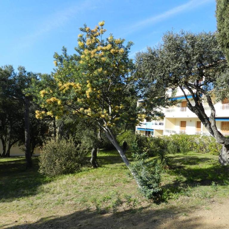 Appartement 3 pièces, terrasse, 4 pers. - FR-1-251-890 - Appartement - 14