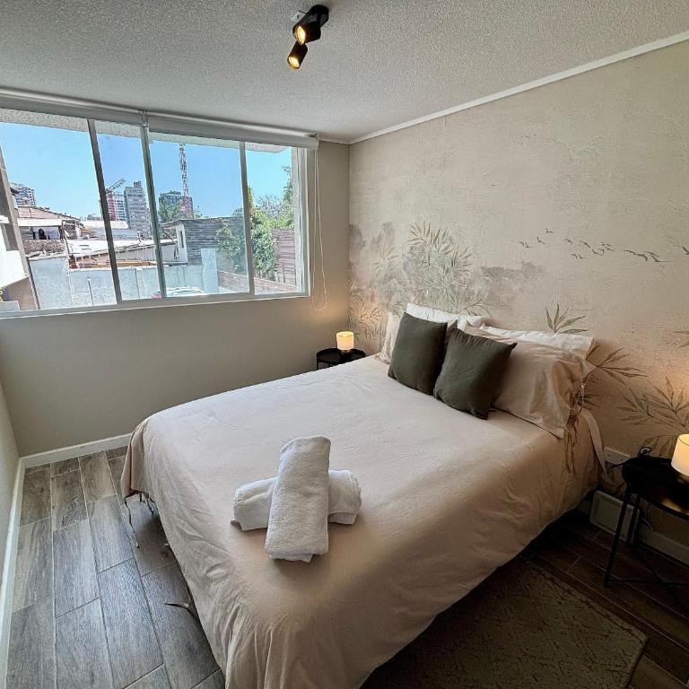 Charming and Illuminated Apartment, Ñuñoa - Apartment - 2