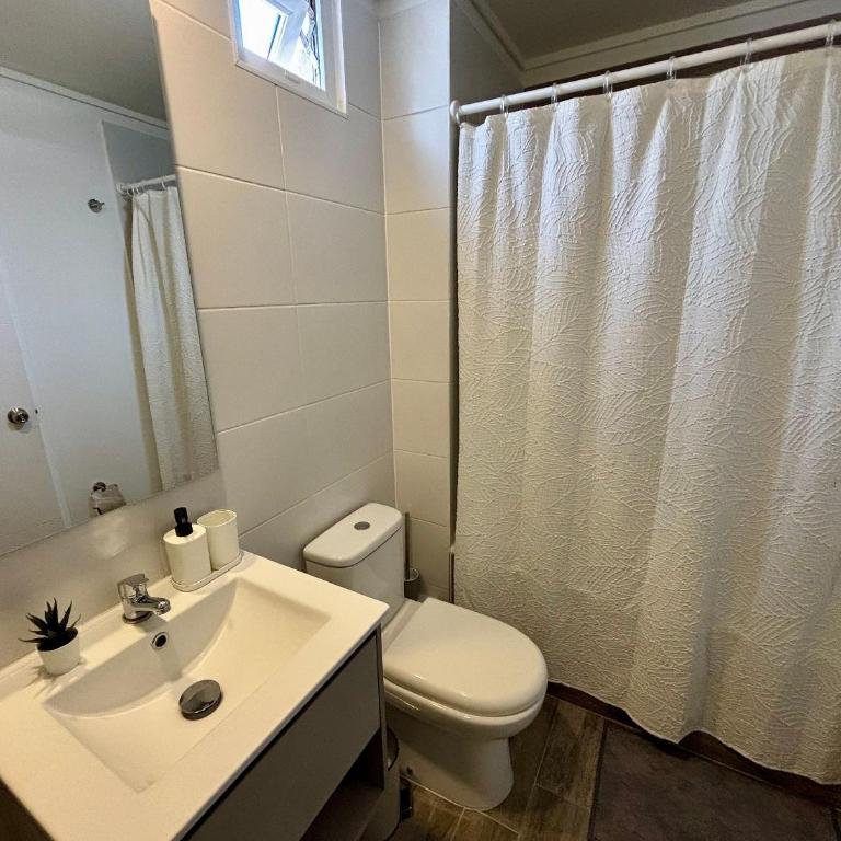 Charming and Illuminated Apartment, Ñuñoa - Apartment - 6