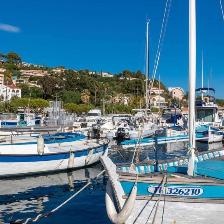 Appartement 2 pièces avec terrasse et parking au Lavandou - FR-1-251-894 - Apartment - 16