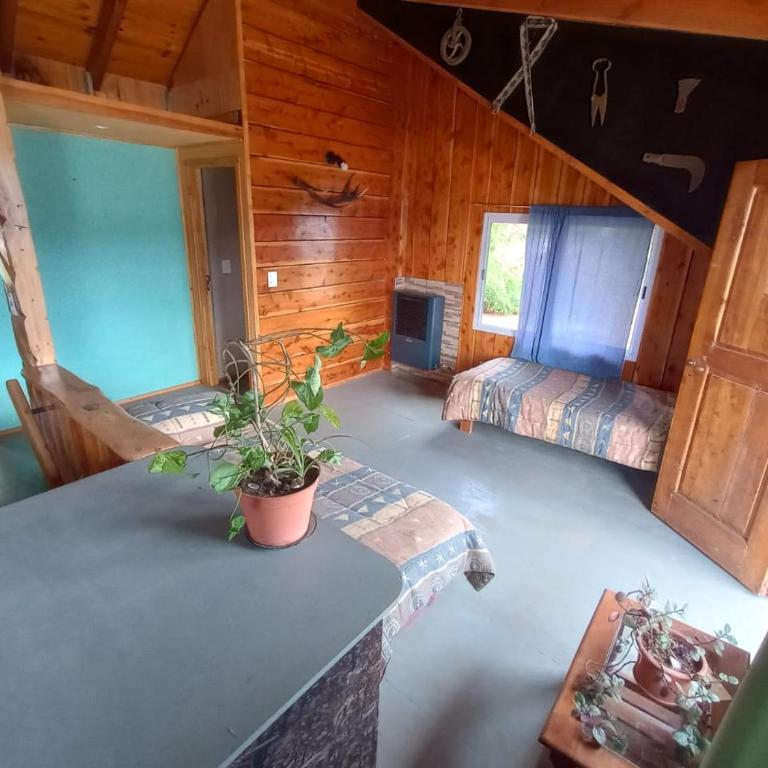 Rucalaf - Chalet - 2