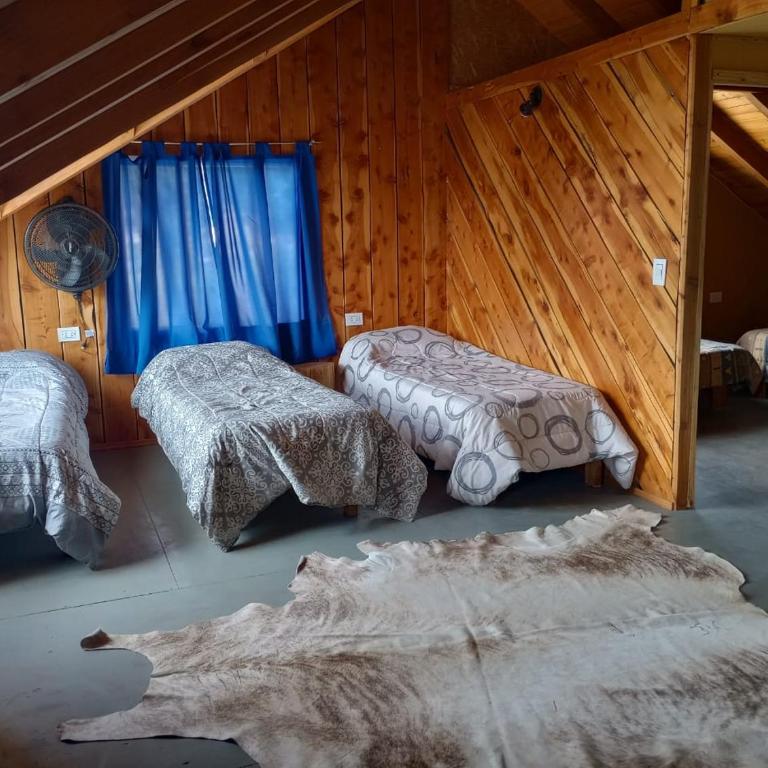 Rucalaf - Chalet - 7