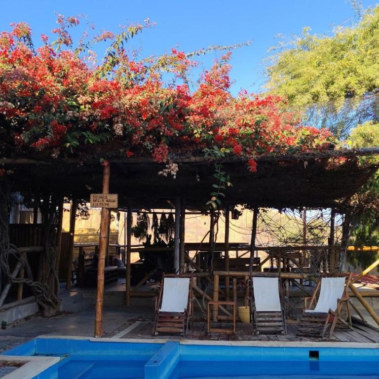 Villa Naylamp loft7 playa pocitas - One-Bedroom Apartment - 34