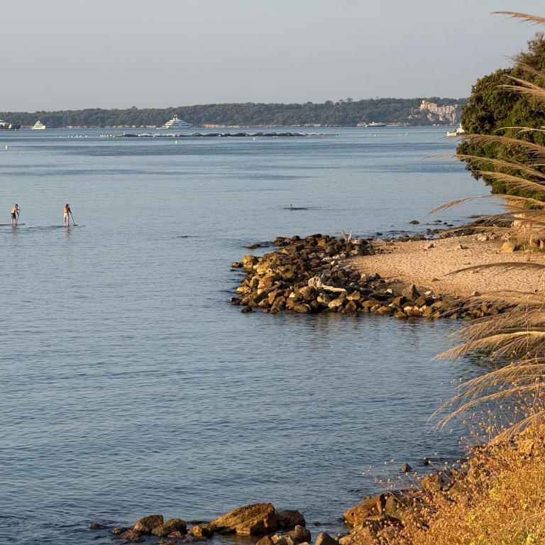 Beach Studio in Golfe-Juan near Cannes and Antibes - Appartement - Vue sur Mer - 2