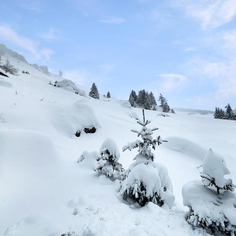 Chalet le Basset - Keys to Paradise in the Alps - Chalet - 15