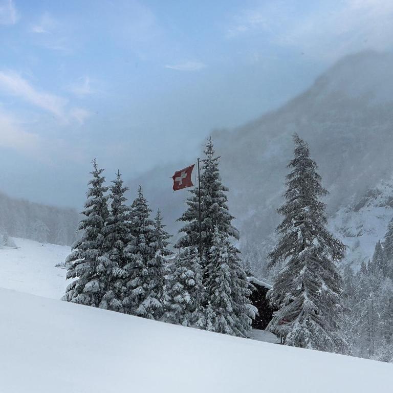 Chalet le Basset - Keys to Paradise in the Alps - Chalet - 17