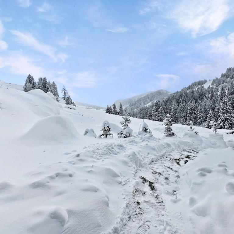 Chalet le Basset - Keys to Paradise in the Alps - Chalet - 14