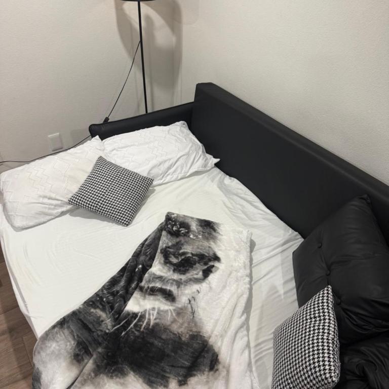 apartment in downtown Mexico City - Apartamento de 2 dormitorios - 3