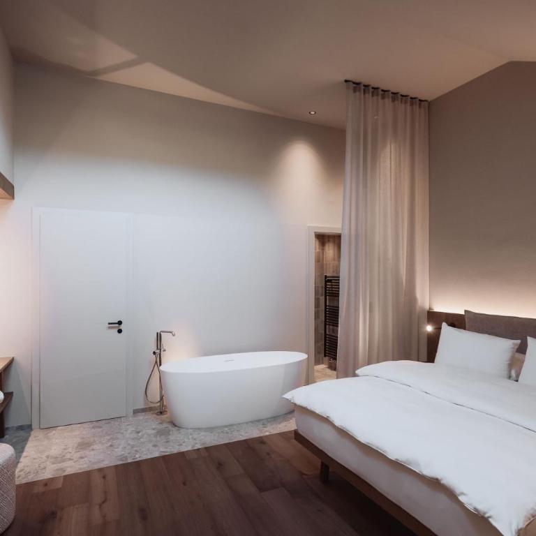 Zin Park alpine suites and SPA - Appartamento Attico - 2