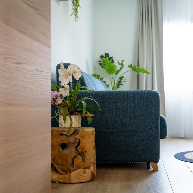 Superbe Appartement - Centre Mandelieu - Apartment with City View - 7