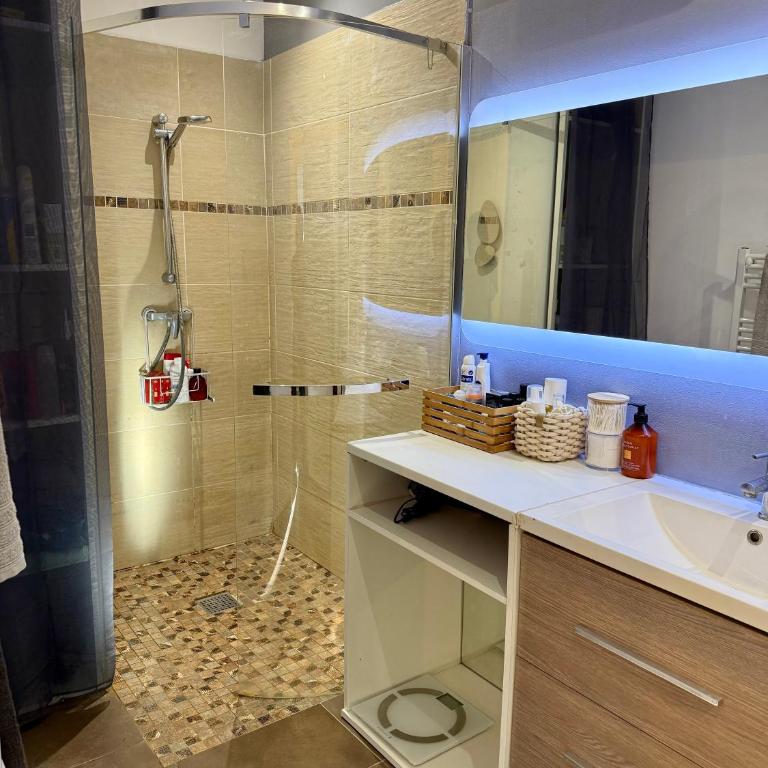 Duplex Magnifique Lumineux au calme sur la Côte d'Azur, Animaux acceptés - One-Bedroom Apartment - 4