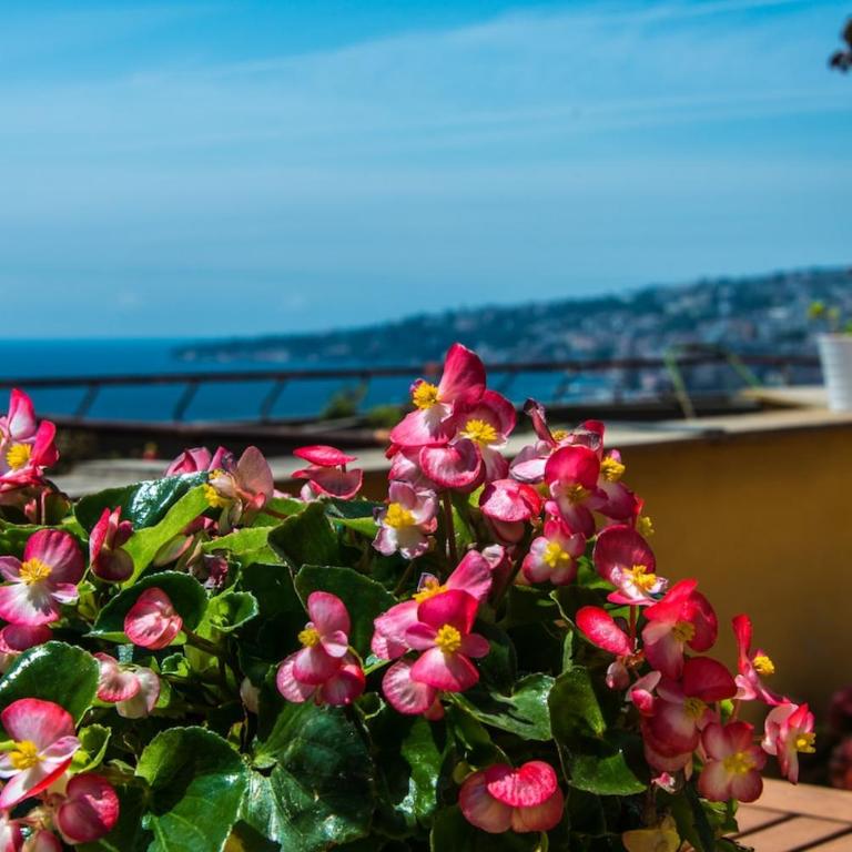 Penthouse on the Bay of Naples - Appartamento con 1 Camera da Letto - 5