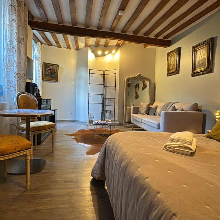 Les Maisons d'Augustine, demeure de charme de la cour Ste Catherine - Studio Supérieur en Rez-de-Jardin - 8