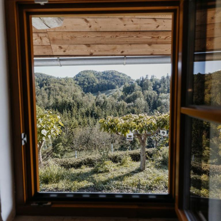 Ferienhaus am HerbstHof - Maison de Vacances - 10