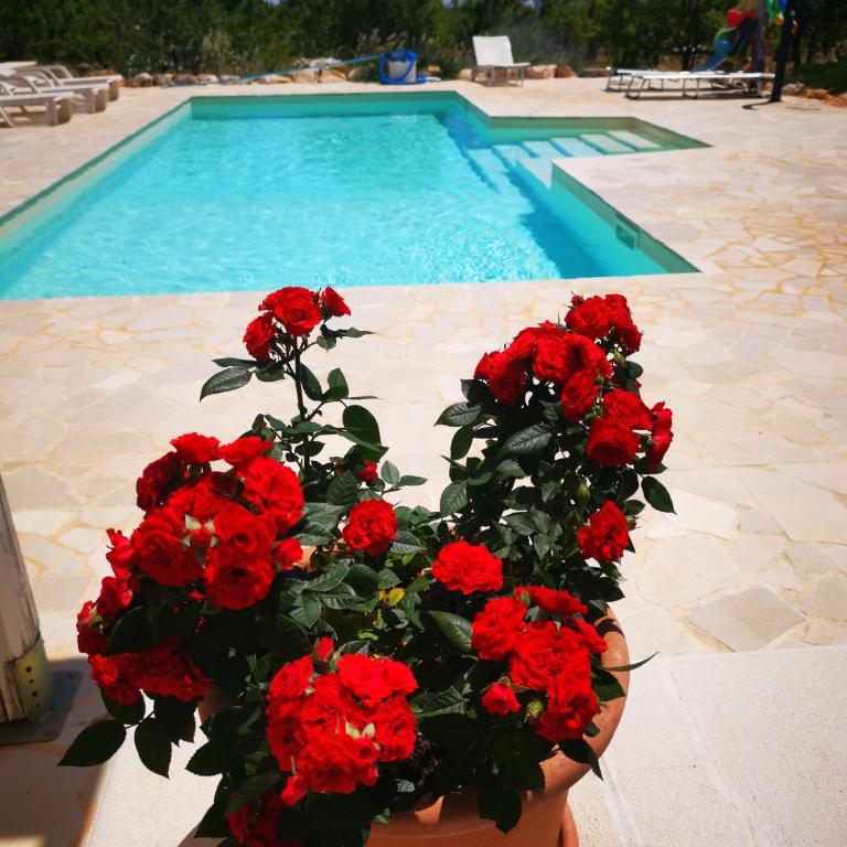 Villa Primavera, con uso di piscina - Two-Bedroom House - 23