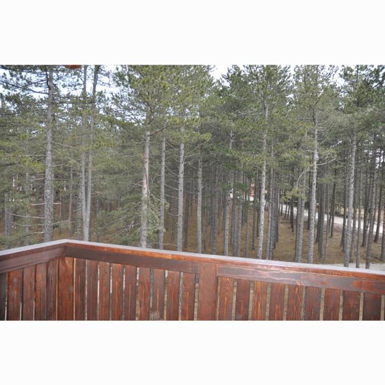 Apartment Kiki - Apartman - 5